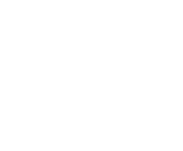 Evolution games at Winota Casino